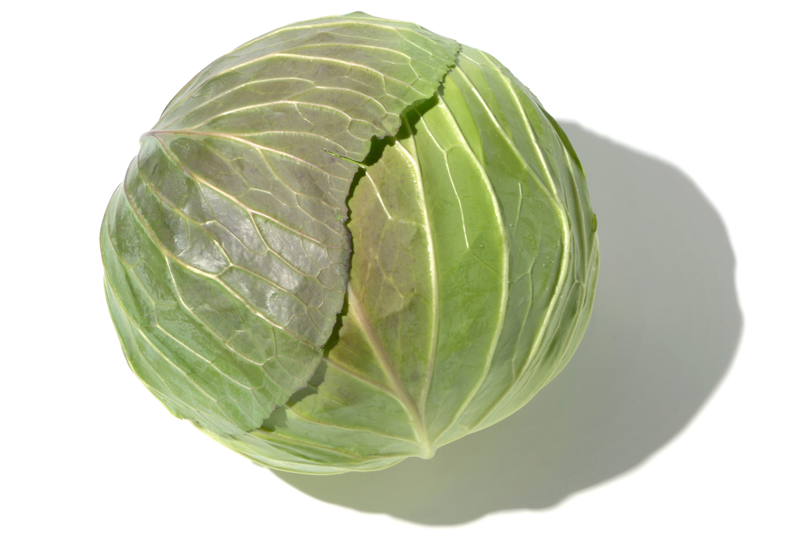 キャベツページ エックスボール | キャベツ | 野菜 | 製品情報 | 住化農業資材株式会社