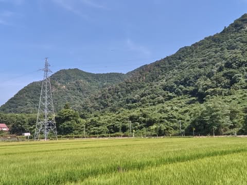 羽黒（仁谷野山林）