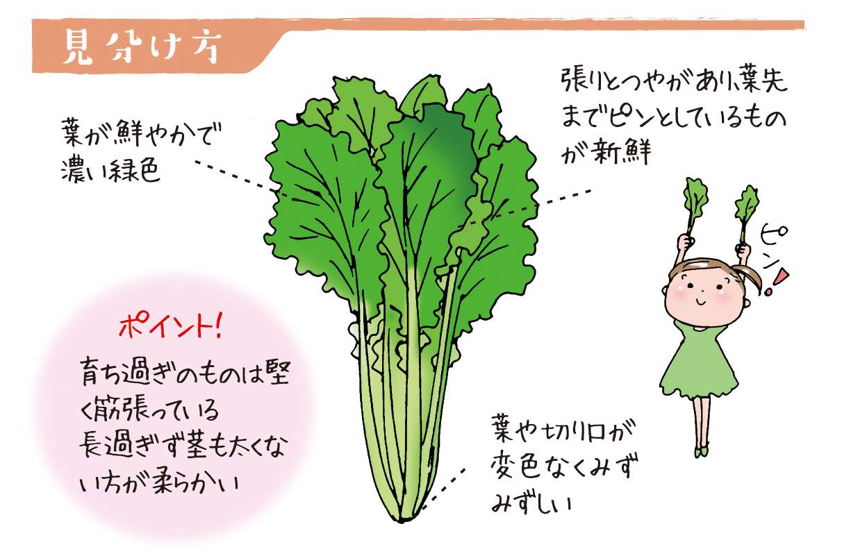 野菜君　ページ p30_01_vegilife_b-1.jpg